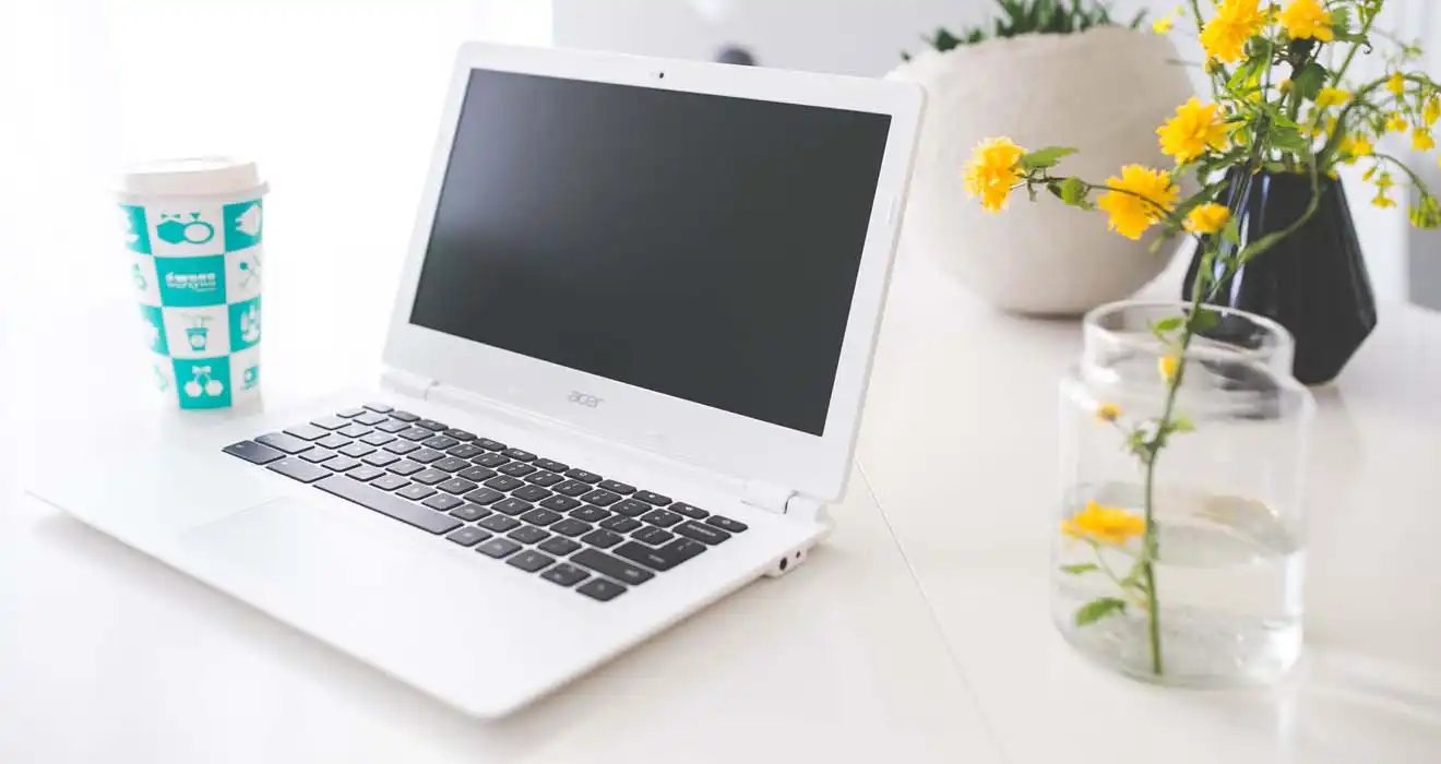 Ремонт ноутбуков Acer в Красноармейске