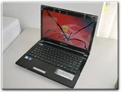 Замена матрицы Packard Bell в Красноармейске